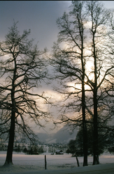 Quelle: Klothilde Laubel